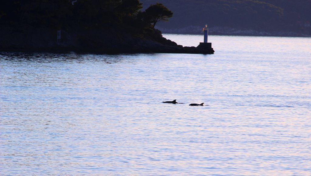 Leilighet Sea Of Eden