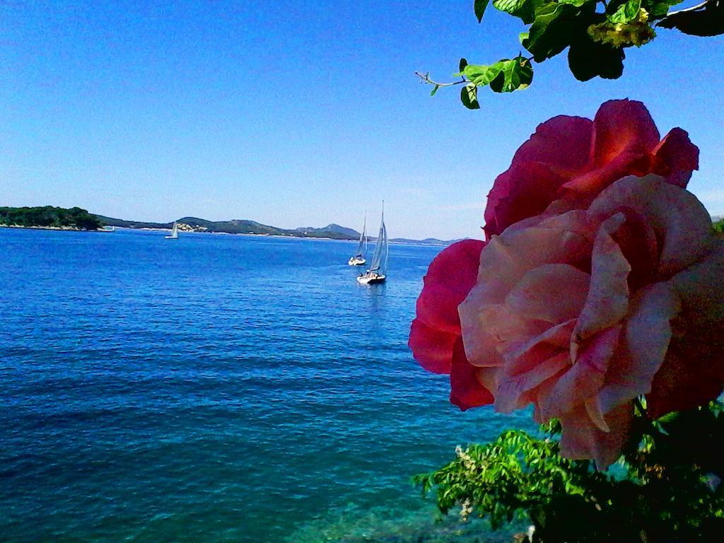 Sea Of Eden Leilighet