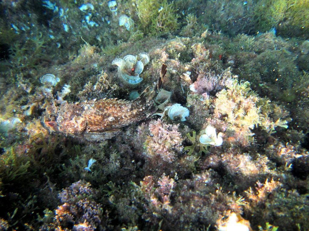 Sea Of Eden Dubrovnik