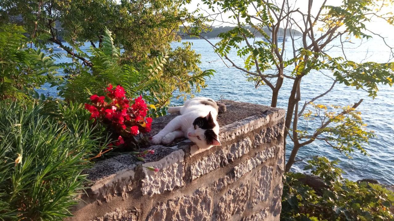 Sea Of Eden Apartment Dubrovnik